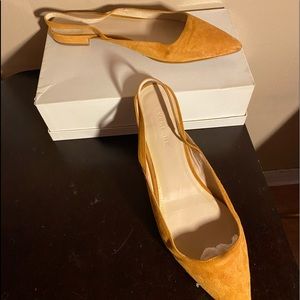 Everlane Suede Flat.  Worn once